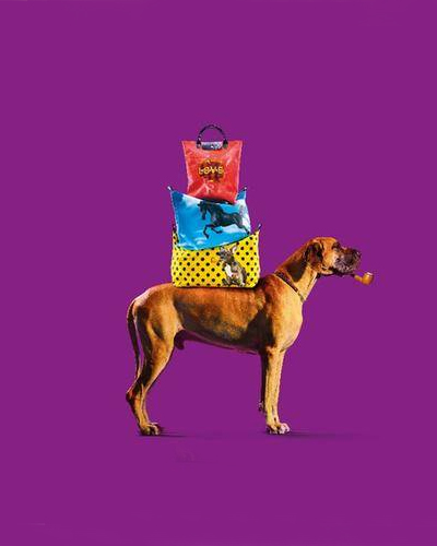 LONGCHAMP X TOILETPAPER 以豁达的生活态度 演绎深受喜爱的经典标识